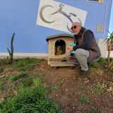 Wally � infatti un �cane di quartiere�: una figura ufficializzata da una legge del 2001 che permette agli animali di venire adottati ufficialmente dai residenti di un condominio o di una precisa area cittadina